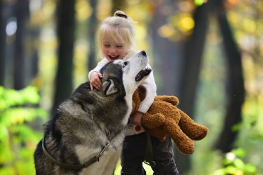 Köpekle gezen çocuk. Sonbahar parkında köpekle oynayan bir çocuk. Küçük kız şirin Husky 'ye sarılıyor. Çocuk ve köpek. Evcil köpekli bir çocuk. Sonbahar yeşilliğinde şirin bir köpek yavrusu. Yumuşak köpek ve çocuk portresi. Köpek dostları