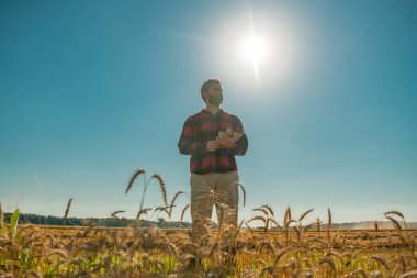 Tarlada buğday toplayan bir çiftçi. Altın buğday tarlasında duran bir adam. Buğday çiftliğinde çalışan bir çiftçi. Buğday tarlası olan bir kırsal alan. Buğday ekinlerini denetleyen bir adam.