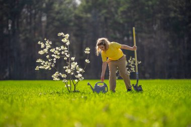 Bahçede çalışan bir çocuk. Çevre için büyüyen ağaç ve bakım bitkisi. Ekim mevsimi. Bitki yetiştiren bir çocuk. Bahçe işleri. Meyve sulayan çocuk. Çocuk dikme ağacı. Bahar günü