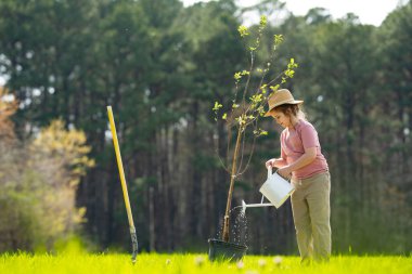 Bahar bahçesi. Çocuk kürekle toprak kazıyor. Bahçesinde ağaç bitkileri olan bir çocuk. Bahçede çalışan çocuklar. Büyüyen elma ağacı. Bahçe aletleri. Çocuk bahçıvanlığı. Bahçe işliyorum. Çocuk dikme ağacı