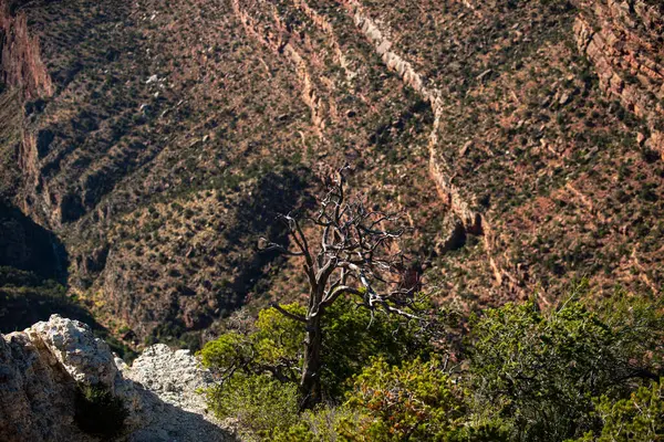 Kanyon kaya manzarası. Arizona 'daki anıt vadisi. Panoramik manzara. Canyon Ulusal Parkı