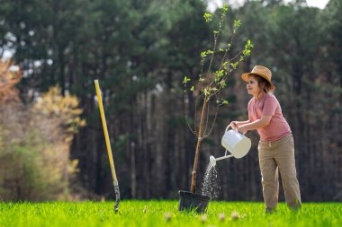 Bahar bahçesi. Çocuk kürekle toprak kazıyor. Bahçesinde ağaç bitkileri olan bir çocuk. Bahar bahçesinde çalışan çocuklar. Bahçe aletleri. Çocuk bahçıvanlığı. Bahçe işliyorum. Çocuk dikme ağacı. Çiftlikteki çocuk