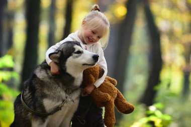 Köpekle gezen çocuk. Sonbahar parkında köpekle oynayan bir çocuk. Küçük kız şirin Husky 'ye sarılıyor. Çocuk ve köpek. Evcil köpekli bir çocuk. Sonbahar yeşilliğinde şirin bir köpek yavrusu. Yumuşak köpek ve çocuk portresi