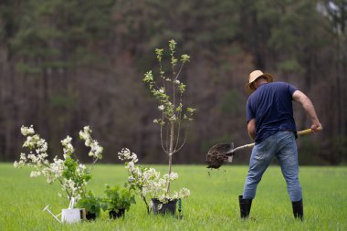 Bahçıvan toprağı kazıyor. Bahar tarlasında çiftçi kazısı. Bahçede kürekle çalışan bahçıvan. Kırsal bahçıvan toprak kazıyor. Meyve bahçesini kazan çiftçi. İşçi tohumu ekme