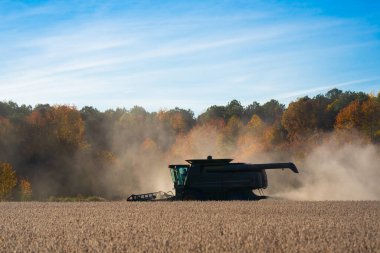 Buğday tarlasında hasatçıyı birleştir. Kırsal kesimde hasat. Hasat makinelerini birleştirin. Tarımsal Kombine hasat makinesi iş başında. Kırsal arazide hasat makinası var. Toprak sürme ve yetiştirme