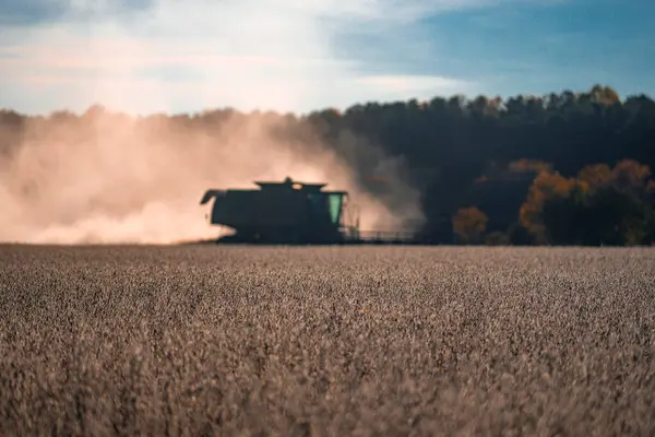 Saman ve tahıl hasadı. Buğday tarlasında hasatçıyı birleştir. Kırsal kesimde hasat. Hasat makinelerini birleştirin. Tarımsal Kombine hasat makinesi iş başında. Kırsal alan, hasat makinesiyle birleşiyor.