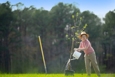 Bahar bahçesi. Çocuk kürekle toprak kazıyor. Bahçesinde ağaç bitkileri olan bir çocuk. Bahçede çalışan çocuklar. Büyüyen ağaç. Bahçe aletleri. Çocuk bahçıvanlığı. Bahçe işliyorum. Çocuk dikme ağacı