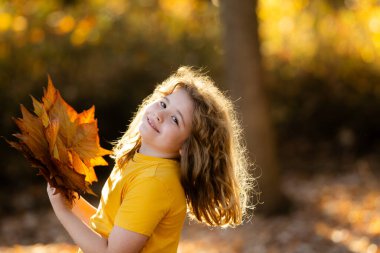 Sonbahar parkında yaprakları olan bir çocuk. Çocuk dışarıda eğleniyor. Sonbaharın tadını çıkarıyorum. Arka planda kal. Sonbahar sonbahar ormanlarında güzel bir sonbahar çocuğunun portresi. Güzel çocuk düşen yapraklarla oynuyor.