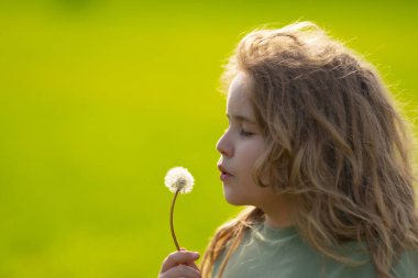 Çocuk yaz tarlasında karahindiba emiyor. Çocuk portresi, yakın plan. Karahindibalı çocuk. Çocuk özgür ve kaygısız. Karahindiba çocuk yüzüne yakın. Çocukların özgürlüğü. Çocuklar rüya görüyor.