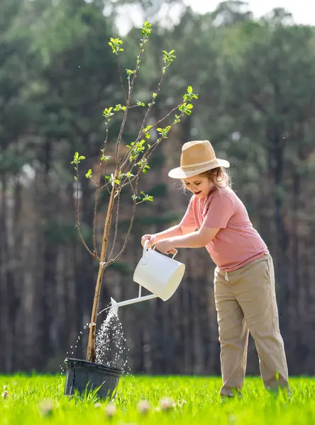 Kürekle ağaç yetiştiren çocuk. Arka bahçede ağaç yetiştiren çocuk. Bahar tarlasında ağaç yetiştiren çocuk. Sulama kutusu ve küreği olan küçük bir bahçıvan. Bahçede ağaç yetiştiren çocuk