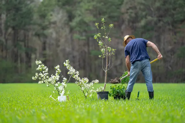 Bahçıvan toprağı kazıyor. Bahar tarlasında çiftçi kazısı. Bahçede kürekle çalışan bahçıvan. Kırsal bahçıvan toprak kazıyor. Meyve bahçesini kazan çiftçi. İşçi tohumu ekme