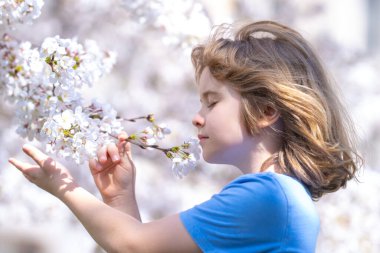 Beyaz kiraz ağacı kokusu alan sevimli bir çocuk. Mutlu bir çocukluk. Çocuklar bahar parkına yakın bir yerde. Çocuklar Günü 'nde. Çiçek ağacının altında sevimli küçük bir çocuk. Çocuk baharı. Çiçek açan kiraz ağacında çocuk portresi