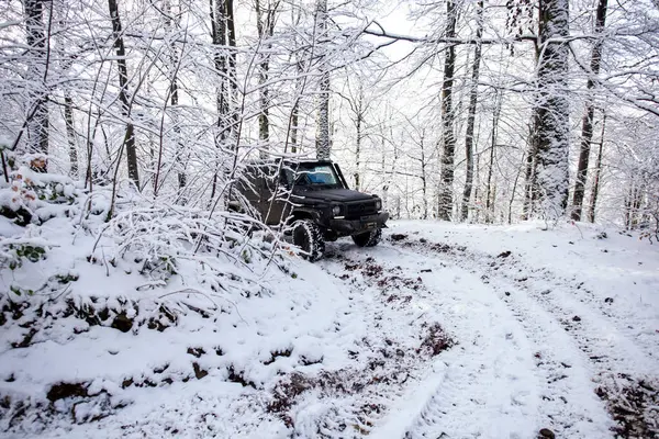 01.02.2021, Karpatlar. Off-road sezonu. 4x4 'le off-road seferi. Kış doğasında aşırı bir off-road gezisi. Off-road arabalı dağ yolu. Arabayla macera gezisi