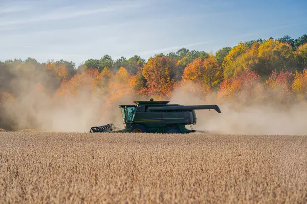 Buğday tarlasında hasatçıyı birleştir. Kırsal kesimde hasat. Hasat makinelerini birleştirin. Tarımsal Kombine hasat makinesi iş başında. Kırsal arazide hasat makinası var. Toprak sürme ve yetiştirme