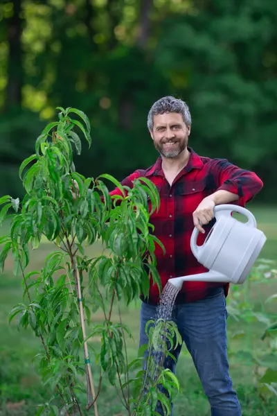 Bahçede bitki yetiştiren bahçıvan. Evin arka bahçesinde bahçıvan ağacı var. Bahçıvan ağaç dikiyor. Kürekle bahçıvanlık. Ev bahçesi. Meyve ağaçlı bahçe. Olgun bahçıvan ağaç dikiyor.