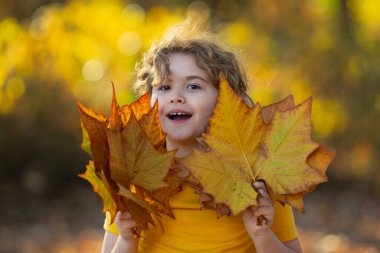 Sonbahar Çocuk Portresi Sonbahar Sarı Yaprakları. Güzel Sonbahar Parkı 'ndaki küçük çocuk. Çocuklar sonbahar parkında oynarlar. Çocuklar sarı yaprakları tutar. Meşe ve akçaağaç yaprağı olan çocuk. Sonbahar yeşilliği