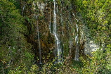 Güzellik doğası. Hırvatistan 'daki Plitvice Göllerinde Şelale. Ormandaki şelaleler. Yaz manzaralı güzel şelaleler ve berrak göl. Plitvice Lakes Ulusal Parkı, Hırvatistan. Yaz doğa manzarası