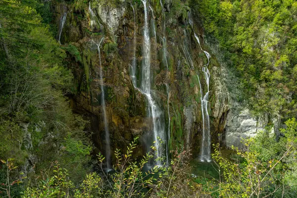 Güzellik doğası. Hırvatistan 'daki Plitvice Göllerinde Şelale. Ormandaki şelaleler. Yaz manzaralı güzel şelaleler ve berrak göl. Plitvice Lakes Ulusal Parkı, Hırvatistan. Yaz doğa manzarası