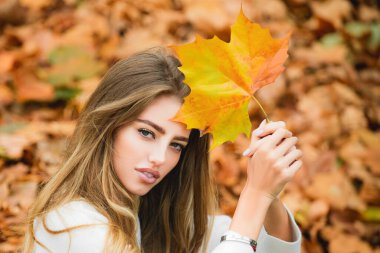 Sonbahar modası. Genç, şık hippi kız, sonbahar modası. Sonbahar rüyası. Kadın sonbaharda rüya görür. Güzel kız rüyası. Hayalperest kadın. Hayaller ve hayal gücü. Hayalci kadın model.