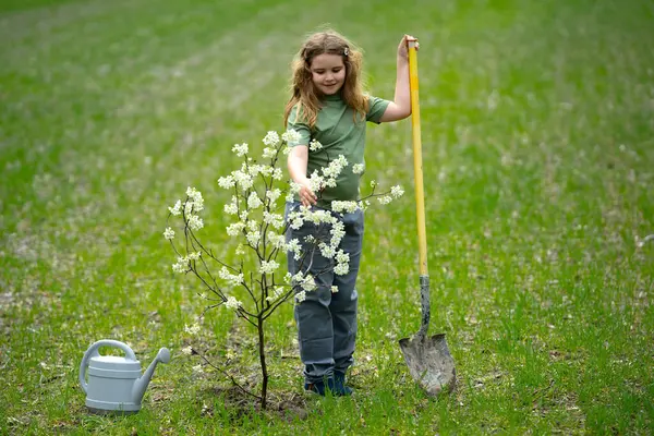 Çocuk dışarıda ağaç dikiyor. Bitkilerin bahar etkinliği. Çocuk kürek ve su bidonuyla çalışıyor. Çocuk meyve ağacı dikmiş. Bahçıvan çocuklar. Çocuk yetiştirme bitkisi ve ağaç bakımı. Bahar tarlasında küçük çiftçi