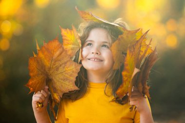 Sonbahar sonbahar parkında çocuk portresi. Sonbahar portakal yapraklı küçük çocuk, açık hava portresi. Sonbahar parkında sonbahar yapraklı şirin bir çocuk yüzü. Çocuk tutacağı düşen yapraklar. Çocukların açık hava portresi