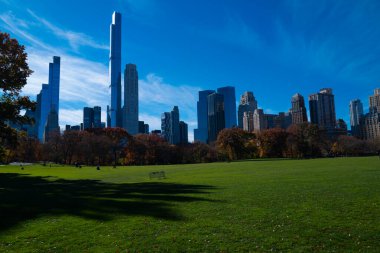 Central Park New York Şehri. New York Central Park silueti. New York 'taki ünlü Central Park. New York 'taki şehir bahçesi. Central Park yakınlarında gökdelenler. New York şehri manzarası. NYC şehir doğası