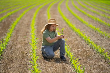 Çocuk yetiştirme. Mısırla ilgilenen çocuk. Çevre dostu mısır tarlasında genç bir çiftçi. Yeşil ekosistemde tarım. Çevre tarımı. Kırsal çocuk. Toprakta mısır. Çocuklu organik tarım. Büyüyen mısır