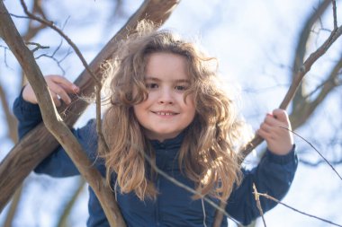 Parktaki ağaçlara tırmanan bir çocuk. Ağaç gövdesine sarılan mutlu çocuk. Ağaç ormanındaki çocuk. Ağaçların arasında oynayan tatlı bir çocuk. Çocuk bir ağaç dalında oynuyor. Ağaç dalına tırmanan gülümseyen çocuk