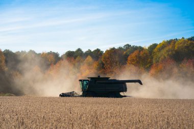 Buğday tarlasında hasatçıyı birleştir. Kırsal kesimde hasat. Hasat makinelerini birleştirin. Tarımsal Kombine hasat makinesi iş başında. Kırsal arazide hasat makinası var. Toprak sürme ve yetiştirme
