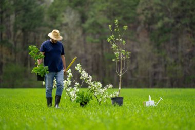 İşçi ekme tohumu. Bahçede bitki yetiştiren çiftçi. Çiftlikte çalışan bir adam. Açık havada tarım işi. Bahçe işleri yaşam tarzı. Toprak ekme hazırlığı. Yeşil çimlerde ağaç dikiyorum.