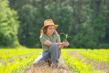 Ekosistem. Çocuk çevre dostu mısır tarlasında. Yeşil ekosistemde tarım. Çevre tarımı. Çocuklu organik tarım. Çevre konsepti. Çocuk çiftçiliği. Çocuklar toprak toprağıyla ilgileniyorlar. Doğal ekim.