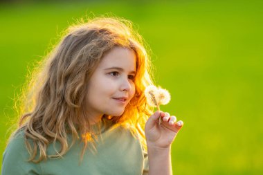 Sevimli sarışın çocuk suratı. Çocuk yaz tarlasında karahindiba emiyor. Çocuk portresi, yakın plan. Karahindibalı çocuk. Çocuk özgür ve kaygısız. Çocuk yüzünün yanında karahindiba tohumu. Çocukların özgürlüğü. Çocuklar rüya görüyor.