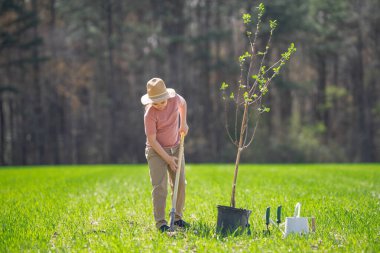 Kürekle ağaç yetiştiren çocuk. Arka bahçede ağaç yetiştiren çocuk. Bahar tarlasında ağaç yetiştiren çocuk. Sulama kutusu ve küreği olan küçük bahçıvan.