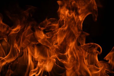 Yangın alevleri siyah arka planda izole edildi. Ateş yakma alevi izole, yanan sanat tasarımı kavramı ve metin için boşluk