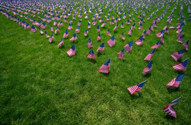 Amerikan bayrağı geçmişi. Amerikan bayrağı dalgalanıyor. 4 Temmuz 'da kutlama. Bağımsızlık Günü. Çimlerin üzerinde Amerikan bayrakları. Amerikan bayrağı. Anma Günü. Amerikan bayrakları. Parkta Birleşik Devletler bayrakları