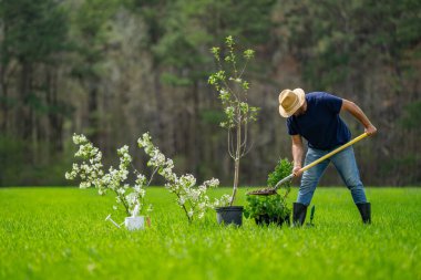 Bahçıvan toprağı kazıyor. Bahar tarlasında çalışan çiftçi. Bahçede kürekle çalışan bahçıvan. Kırsal bahçıvan arazi işliyor. Bahçedeki çiftçi bahçıvan. İşçi tohumu ekme