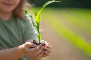 Çocuk toprağa tohum ekiyor. Elinde mısır filizi tutan çocuk. Baharda çiftçilik yapan genç bir çocuk. Mısır tarlasında çocuk eli. Mısır yetiştiriyorum. Küçük çiftçi. Çocukların elinde mısır filizleri. Çocuk bakımı ve büyüme mısırı