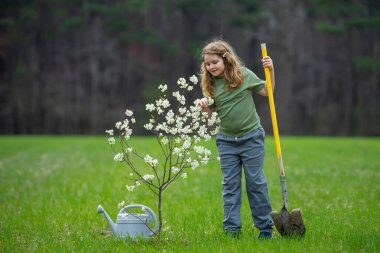 Bahar bahçesinde çocuk yetiştirme ve sulama ağacı. Bitkilerin bahar etkinliği. Çocuk kürek ve su bidonuyla çalışıyor. Çocuk meyve ağacı dikmiş. Bahçıvan çocuklar. Çocuk yetiştirme bitkisi ve ağaç bakımı