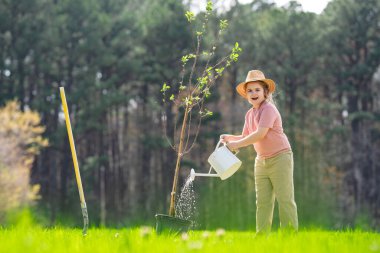 Bahçede küreği olan bir çocuk. Bahçede ağaç yetiştiren bir çocuk. Çocuk dikme ağacı. Çocuklarla bahar bahçesi. Bahçedeki çocuk sulama ağacı