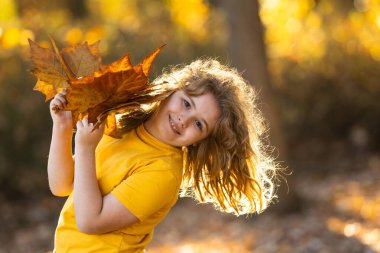 Akçaağaç yapraklı çocuklar arka planda. Sonbahara yakın bir çocuk güneş ışığında yapraklarını döküyor. Sonbahar sonbahar parkında küçük bir çocuk. Çocuklar ve yapraklar, dökülen yapraklar. Sonbahar yaprağı hamile. Düşen çocuklar
