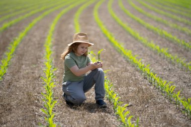 Çocuk çiftliğe yardım ediyor. Genç çiftçi mısır ekiyor. Çocuk tarlada çalışıyor. Mısır tarlasında bir çocuk. Küçük çiftçilik. Genç çiftçiler mısır yetiştiriyor. Darı filizli çocuk. Küçük çiftçi