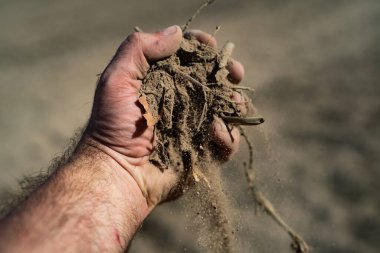 Meliorasyon toprak kalitesini yükseltiyor. Arazi ekime hazır. Ekim mevsimi. Toprağı besleyen humus. Taze toprağın topraksı kokusu. Ön hazırlık. Bereketli toprak ekime hazır. Grunge eldeki toprağı