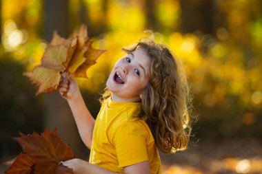 Akçaağaç yapraklı çocuklar arka planda. Sonbahara yakın bir çocuk güneş ışığında yapraklarını döküyor. Sonbahar sonbahar parkında küçük bir çocuk. Çocuklar ve yapraklar, dökülen yapraklar. Sonbahar yaprağı. Düşen yapraklar