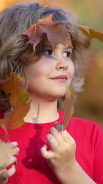 Akçaağaç yapraklı çocuklar arka planda. Sonbahara yakın bir çocuk güneş ışığında yapraklarını döküyor. Sonbahar sonbahar parkında küçük bir çocuk. Çocuklar ve yapraklar, dökülen yapraklar. Sonbahar yaprağı hamile. Düşen çocuklar