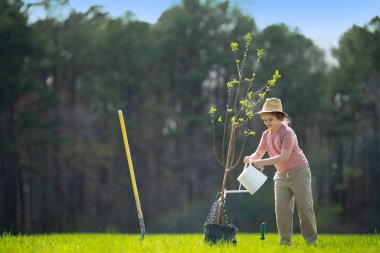 Bahar bahçesi. Çocuk kürekle toprak kazıyor. Bahçesinde ağaç bitkileri olan bir çocuk. Bahçede çalışan çocuklar. Büyüyen ağaç. Bahçe aletleri. Çocuk bahçıvanlığı. Bahçe işliyorum. Çocuk dikme ağacı