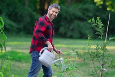 Bahçede bitki yetiştiren bahçıvan. Evin arka bahçesinde tarım ağacı var. Ağaç diken bir adam. Bahçıvanlık ve su kovası. Ev bahçesi yetiştiriciliği. Olgun çiftçi dikme ve sulama ağacı