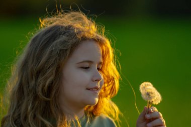 Çocuk bir karahindiba üflüyor. Çocuk bahar tarlasında karahindiba ile oynuyor. Çocuk rüya görür. Çocuk yazın tadını çıkarıyor ve karahindiba tohumları saçıyor. Çocukların özgürlüğü. Çocuk karahindiba üflüyor.