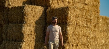 Asyalı çiftçi saman tutuyor. Buğday tarlasında çiftçi Hasat Saman 'dan sonra. Hasattan sonra ekinler. Çiftlik yaşam tarzı. Ahır, Hay Rolled Bales. Çiftlikte Saman. Çiftlik hayvanları çiftliği