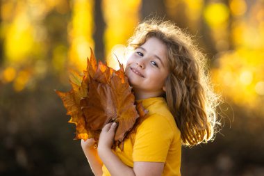 Sonbahar Çocuk Yüzü. Çocuk Sonbahar Sarı Yaprakları 'nı tutuyor. Güzel Sonbahar Parkı 'ndaki küçük çocuk. Çocuklar sonbahar parkında oynarlar. Akçaağaç yaprağı olan çocuk. Düşen yapraklar. Çocuklar sonbaharda yüzleşir. Yakın plan.