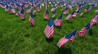 USS bayrak geçmişi. Amerikan bayrağı dalgalanıyor. 4 Temmuz 'da kutlama. Bağımsızlık Günü. Çimlerin üzerinde Amerikan bayrakları. Amerikan bayrağı. Anma Günü. Amerikan bayrakları. Parkta Birleşik Devletler bayrakları